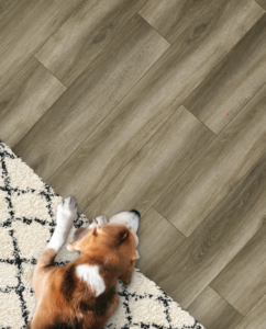 Screenshot 2023-03-11 132010